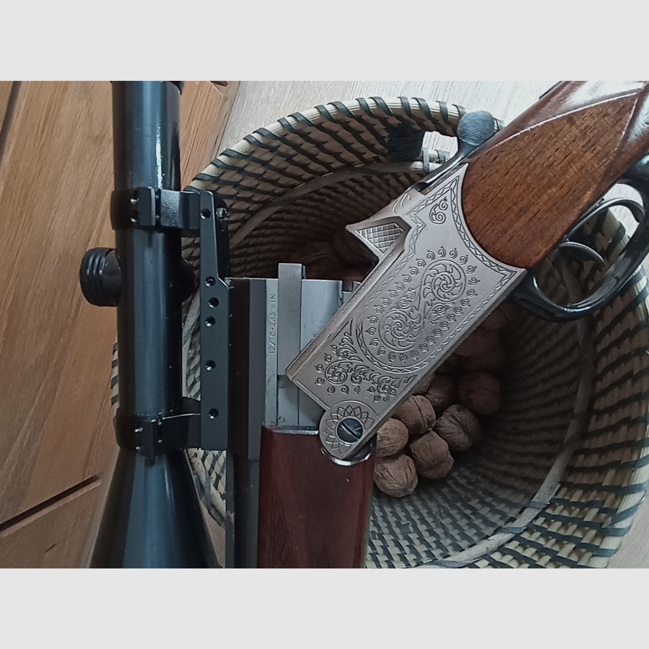 Blaser es 67