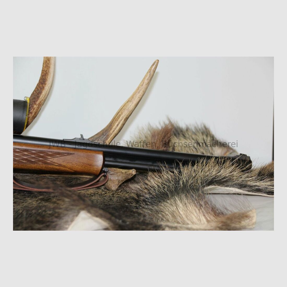 Blaser B95 mit Swarovski Habicht für den großen Jäger .30-06Spring;12/70