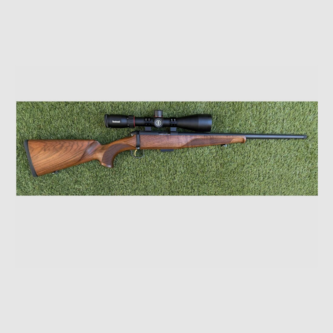 Steyr Mannlicher Zephyr II con ottica Bushnell .17HMR