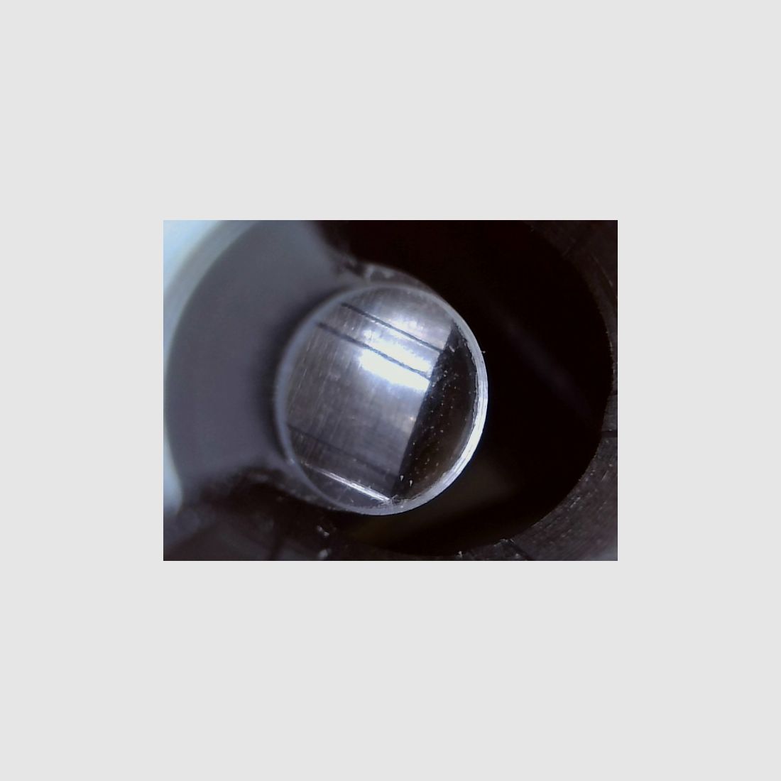 Ruger American Magnum Rifle .300 WinMag, die unzickige mit etwas Bumms, Drückjagd, Longrange