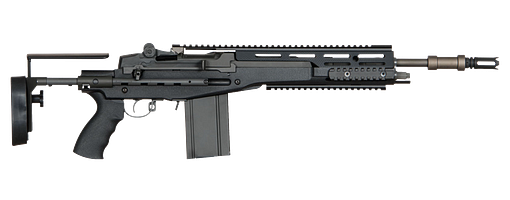 Ares M14 EBR SS