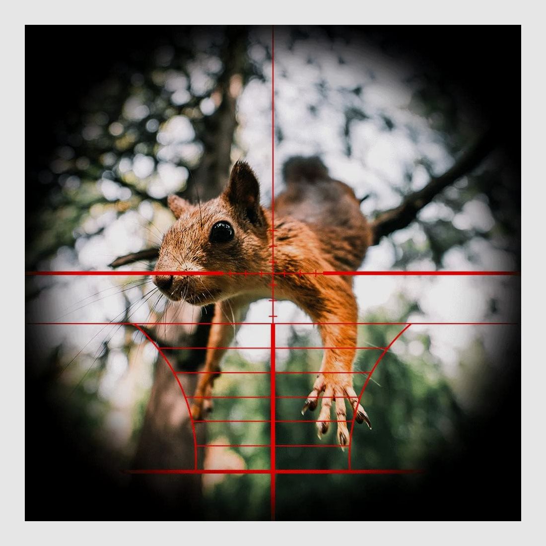 3-9x32 scope, hunting rifle scope, for hunting, target, built-in 11 / 22 mm rail