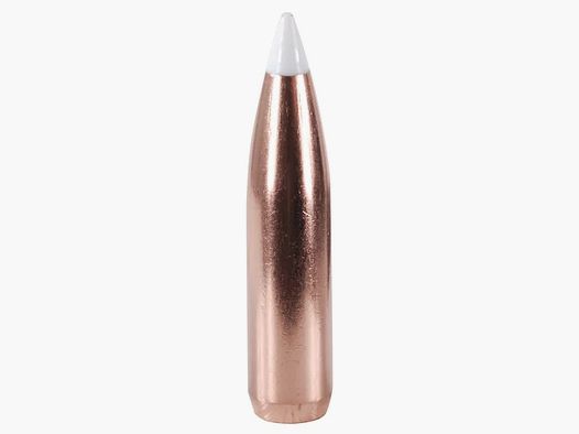 Nosler Geschoss Accubond .270/.277 140GR Spitzer 50 Stück