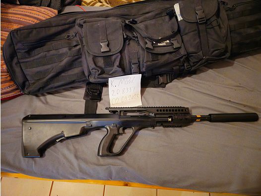 JG S77 DMR Voll Geupgraded +mags und akkus