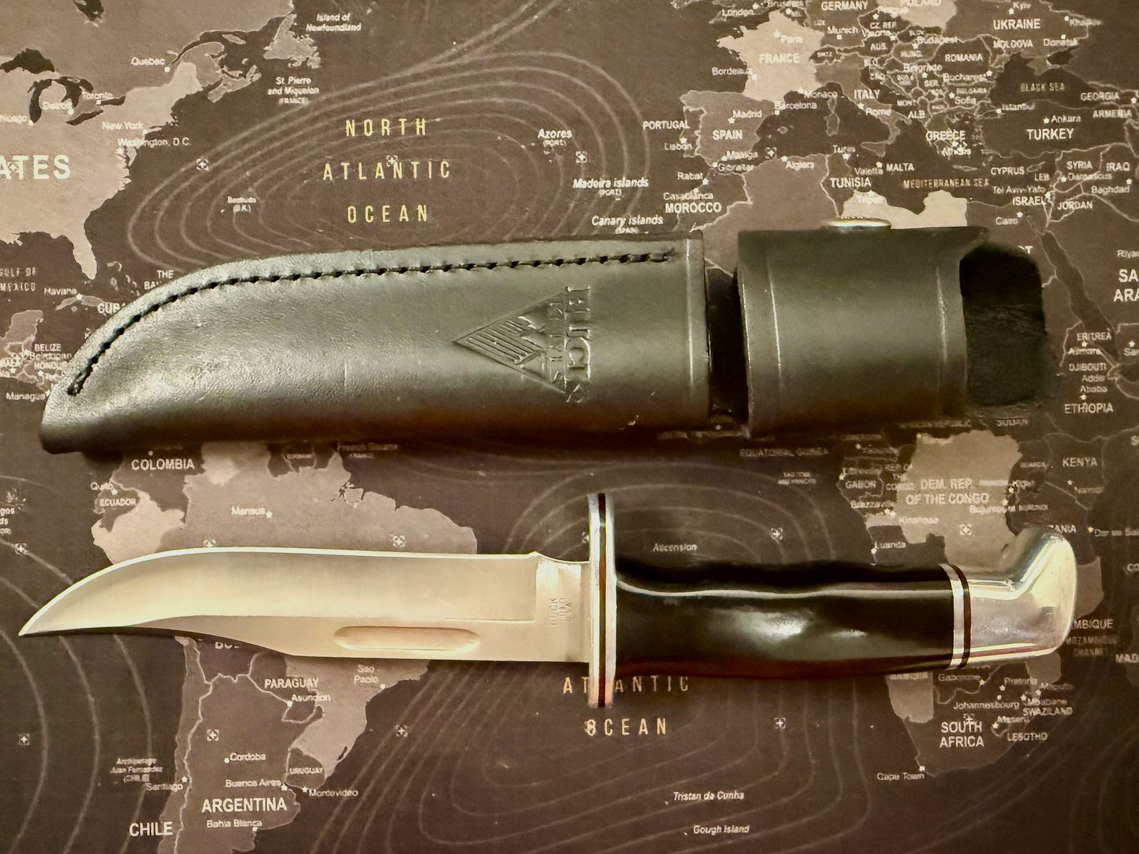 Buck 119 Bowie Messer Outdoor