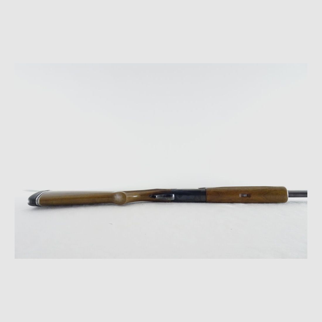 FN