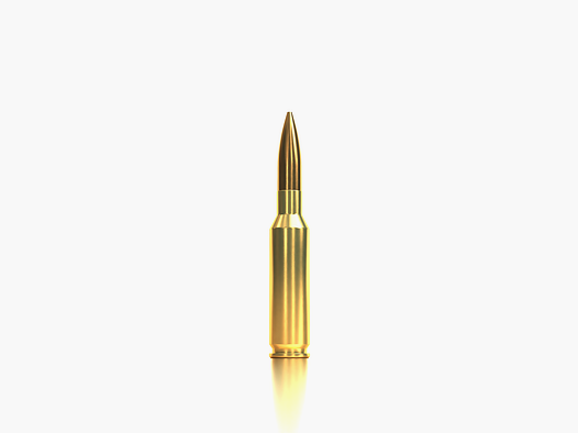 Sellier & Bellot Rifle Ammunition Precision Ammo 6.5 mm Creedmoor 9.2g Hollow Point Boat Tail