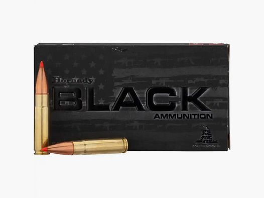 Hornady	 .300 BLK Blackout Black 110gr V-Max