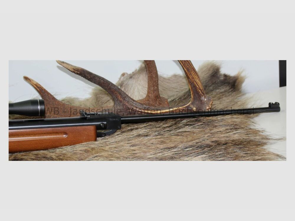 Weihrauch HW 35 4,5mm(Bullet)