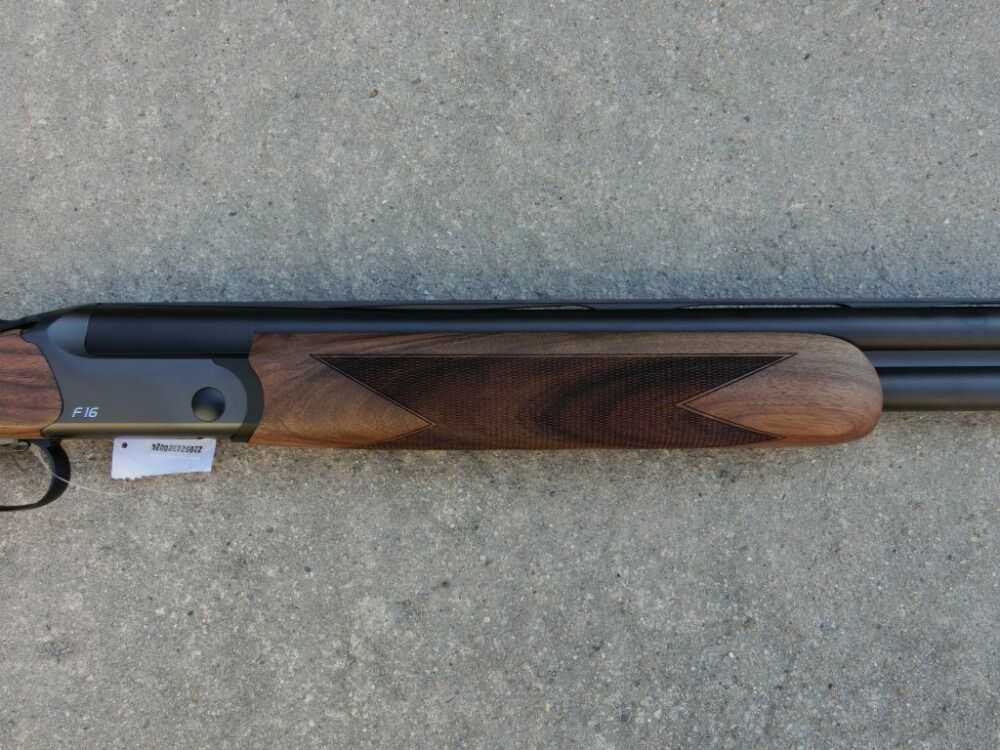 Blaser F16 Game