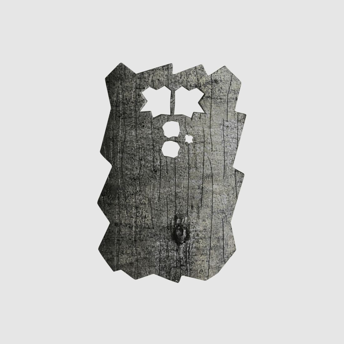 Minox front cover for DTC 460 (beech)