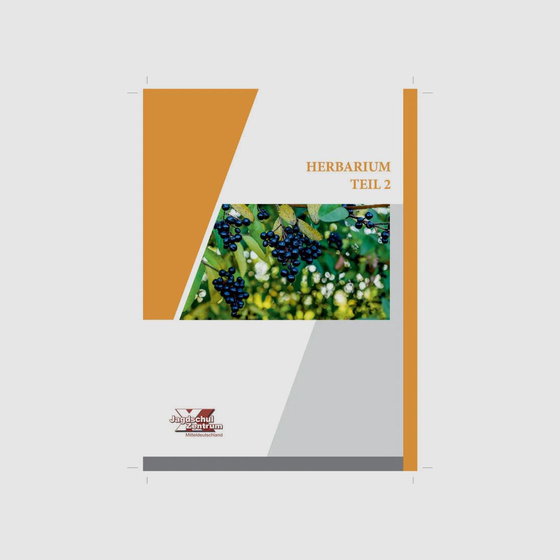 Herbarium Deel 2