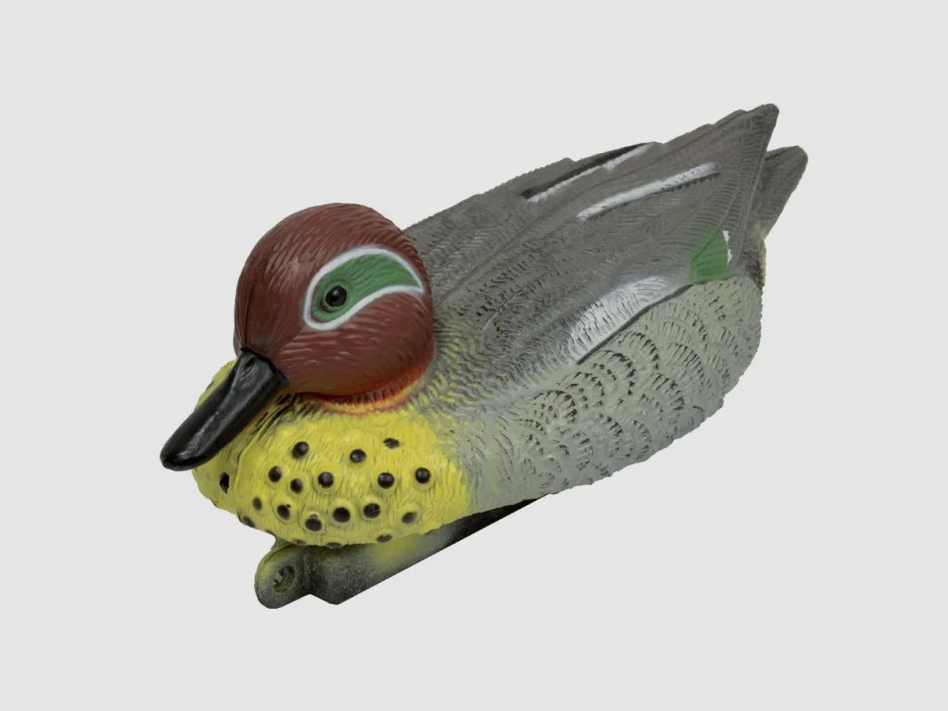 Maschio di Alzavola invernale lunghezza 15,5 cm, immagine 1 di 3