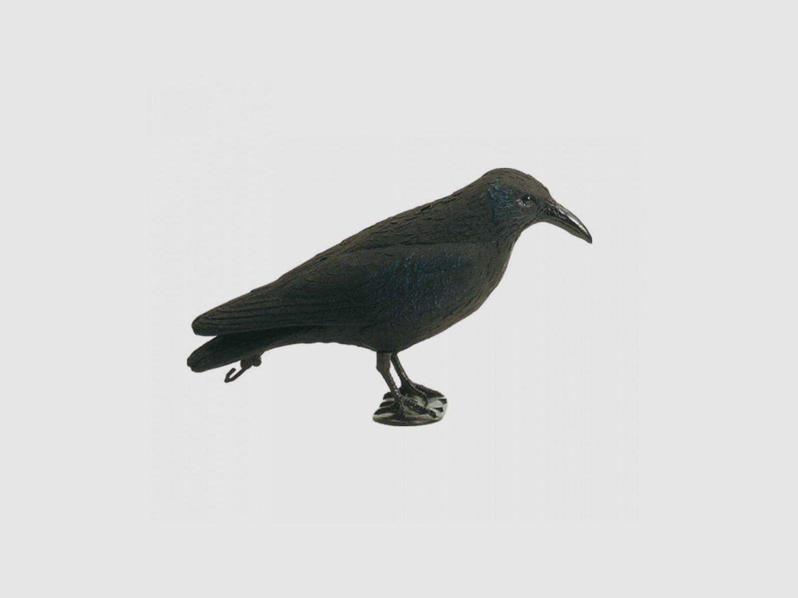 Jagdzielscheibe für Raben und Krähen, Bild 3 von 3