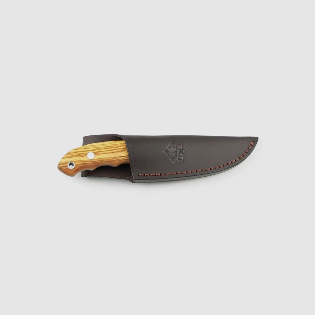 PUMA IP ebro, olive
