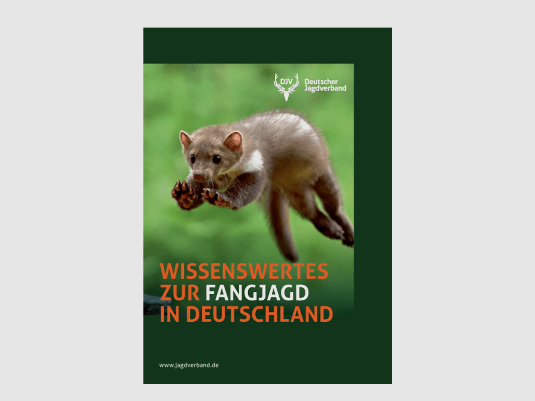 Folleto "Información sobre la caza en Alemania"