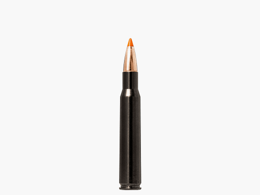 Norma .30-06 TIPSTRIKE SILENCER 11 g 170 gr - 20 Stk