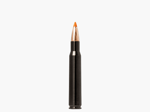 Norma .30-06 TIPSTRIKE SILENCER 11 g 170 gr - 20 pcs
