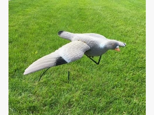 Lokmiddel – Beflockte Vliegende Duif