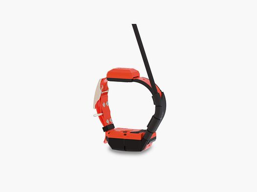 DOG GPS X40 – Obroża GPS