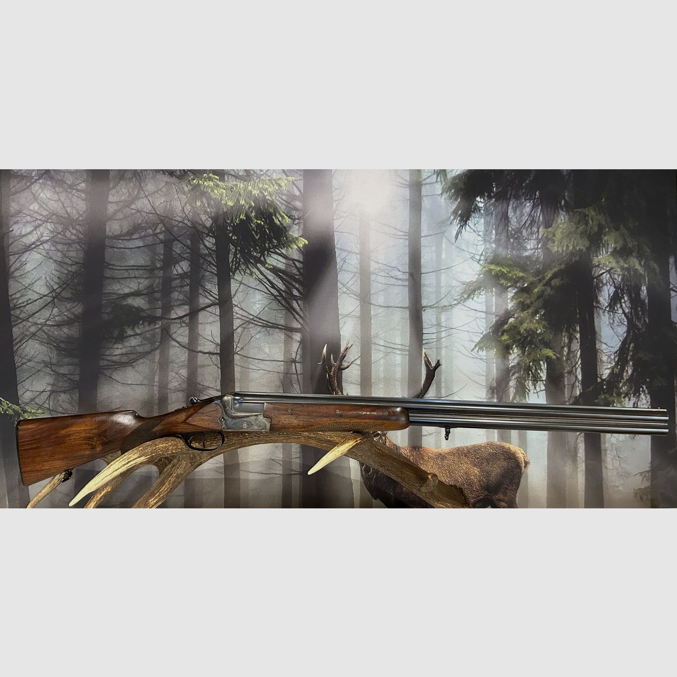 Merkel 12/70, image 2 sur 2