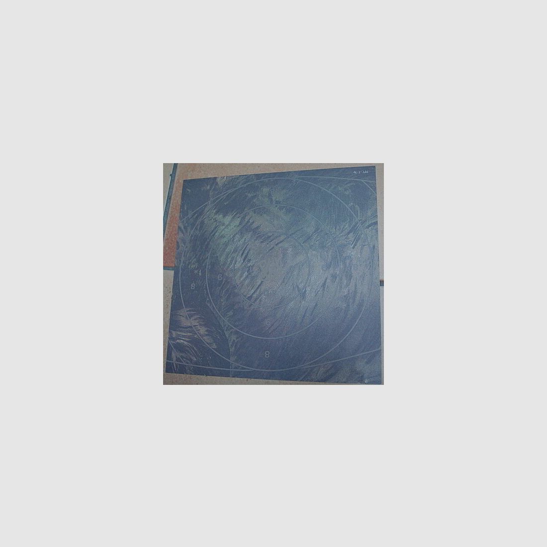 Deutscher Jagdverband Spiegel DJV Jagdscheibe Nr2 stehender Keiler (alt Version)