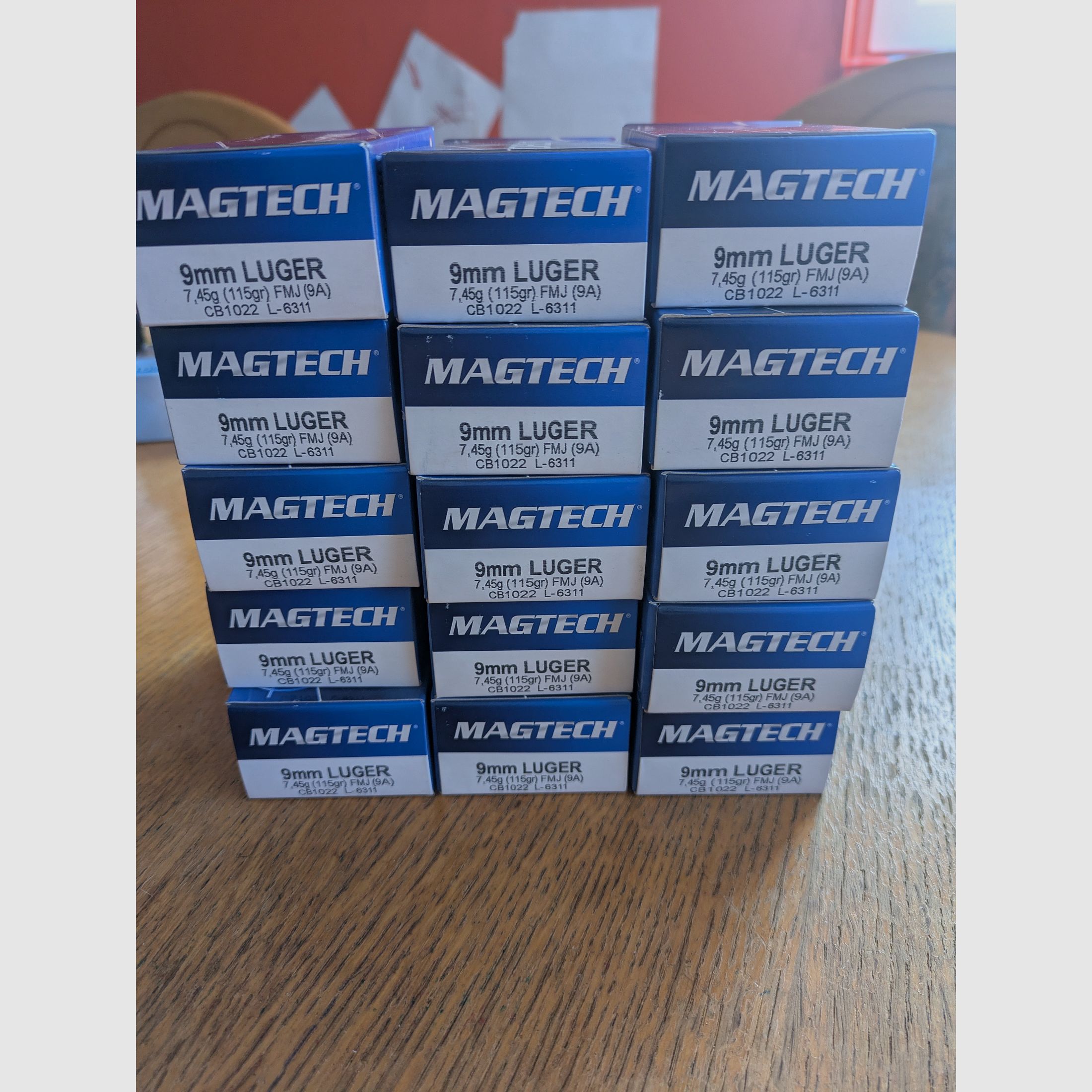 15x Magtech 9mm Luger 115grs FMJ (9A)
