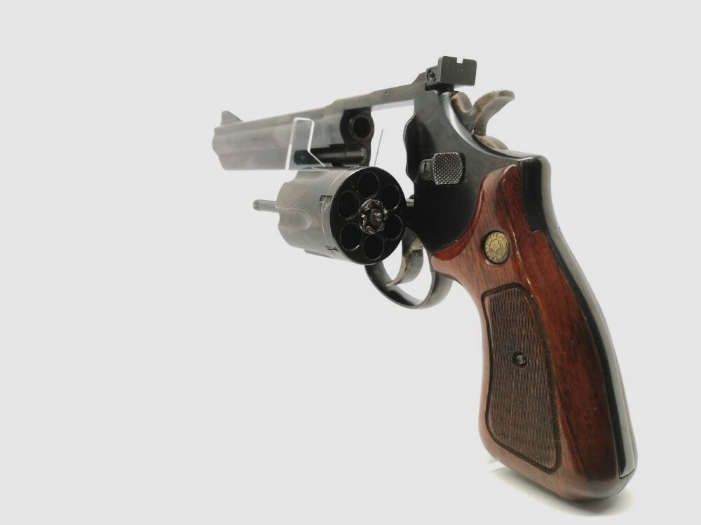 Taurus 669 * 6" canon