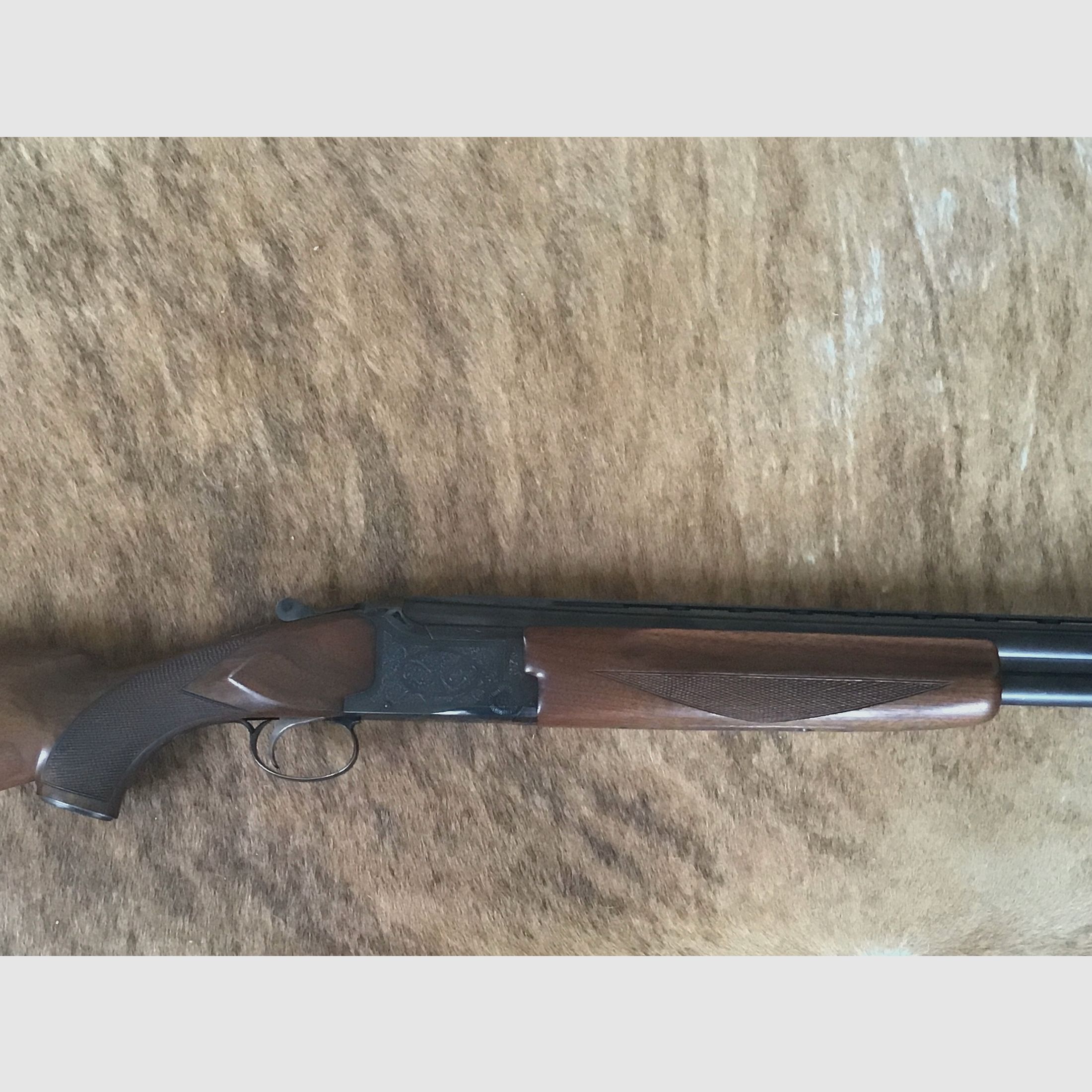 Winchester Mod. 101 
