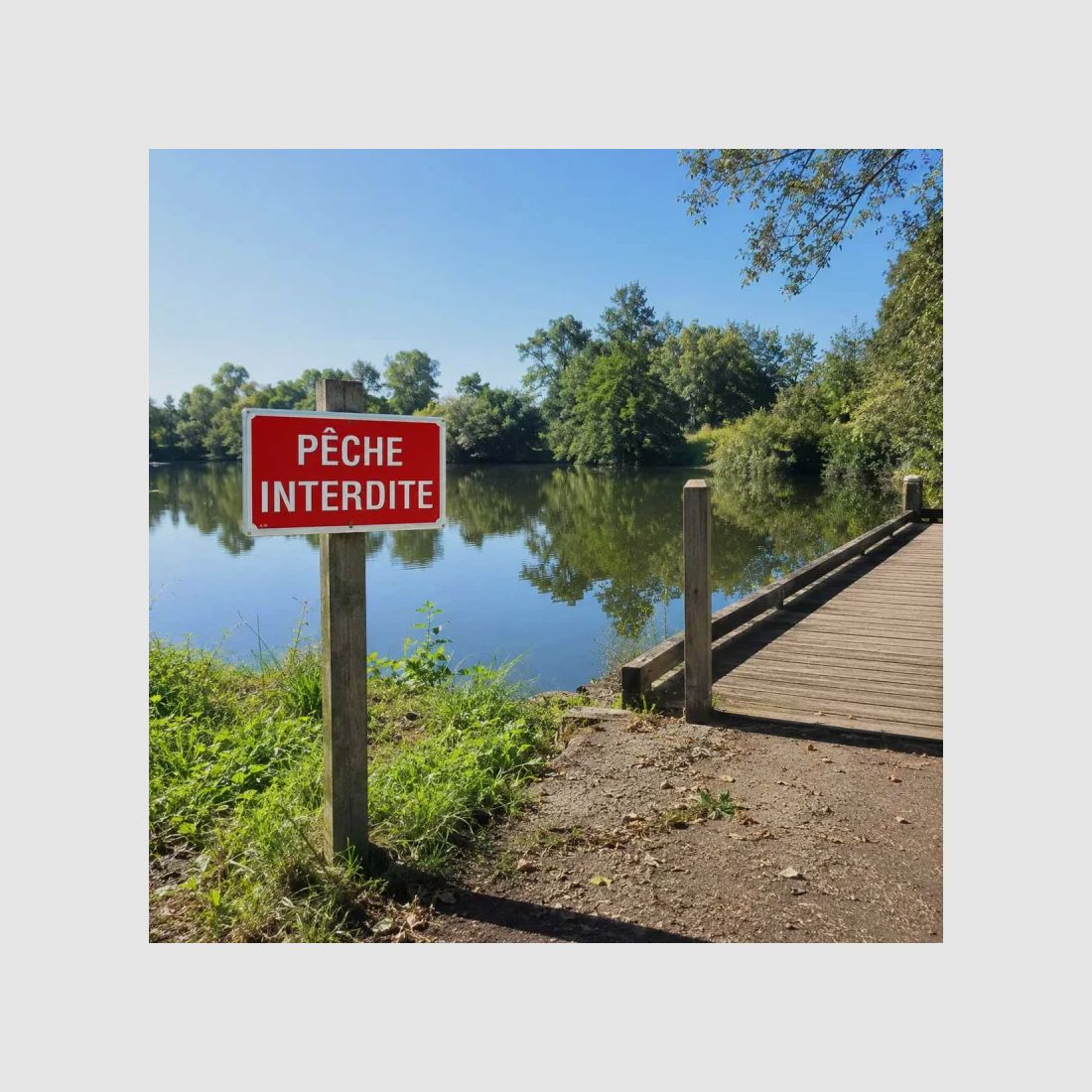 Panneau Pêche interdite alu 30 × 20 cm, image 3 sur 10
