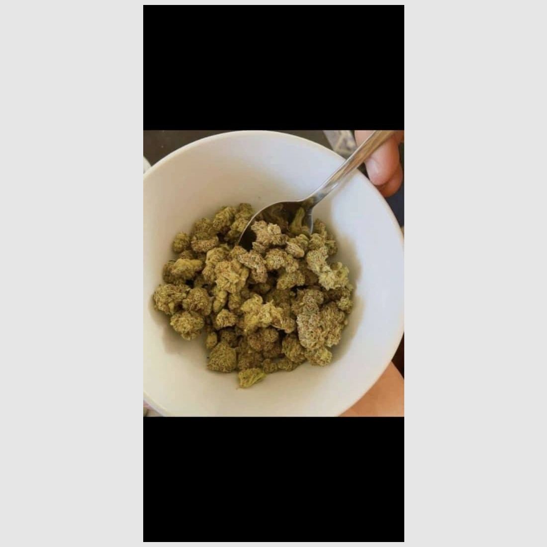 Chaud cocaïne : nous vous ferons revenir. Coca : toute la nuit, pas de banderoles. cocaïne. Gros truc Envoyez-moi un message sur Google Chat