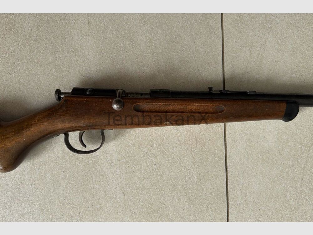 Anschütz .22lr