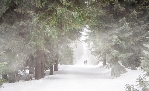Die besten Jagdstiefel für den Winter und die Drückjagdsaison
