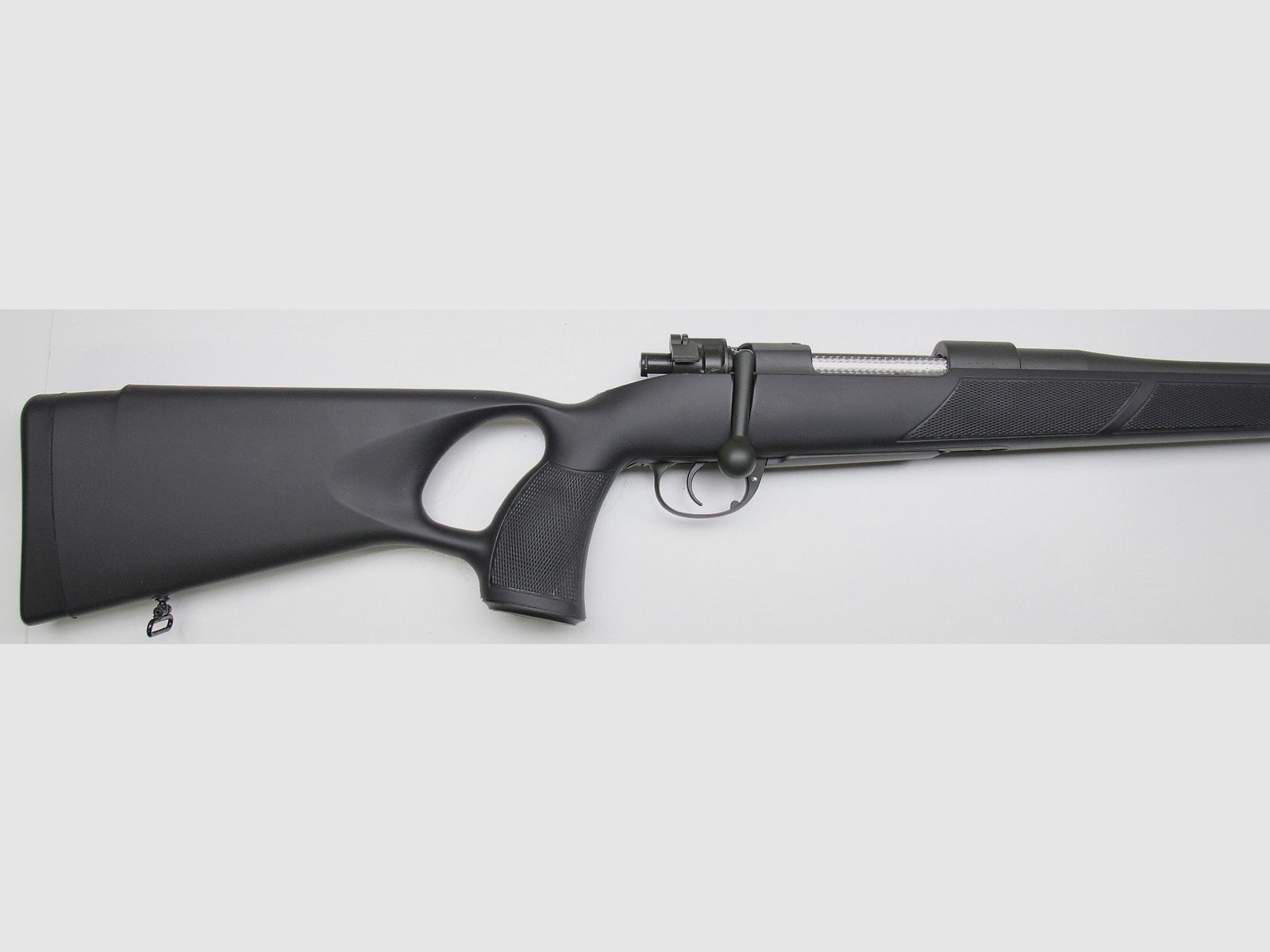 Faude 98 Custom, caliber .308 Win. with plastic skeleton stock and Cerakote coating