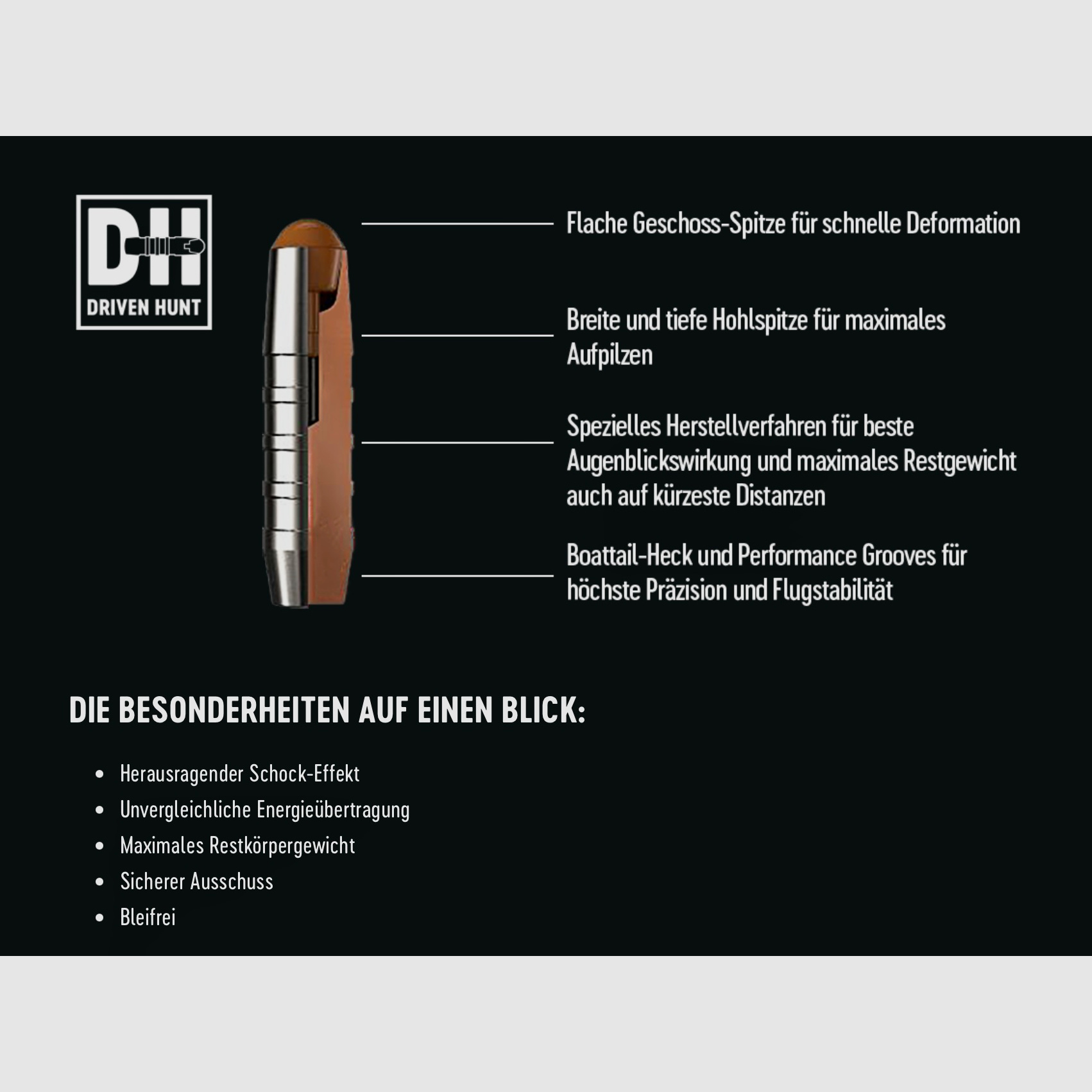 RWS 2428947 8x57 IS DrivenHunt 10.4g / 160gr rifle ammunition lead-free