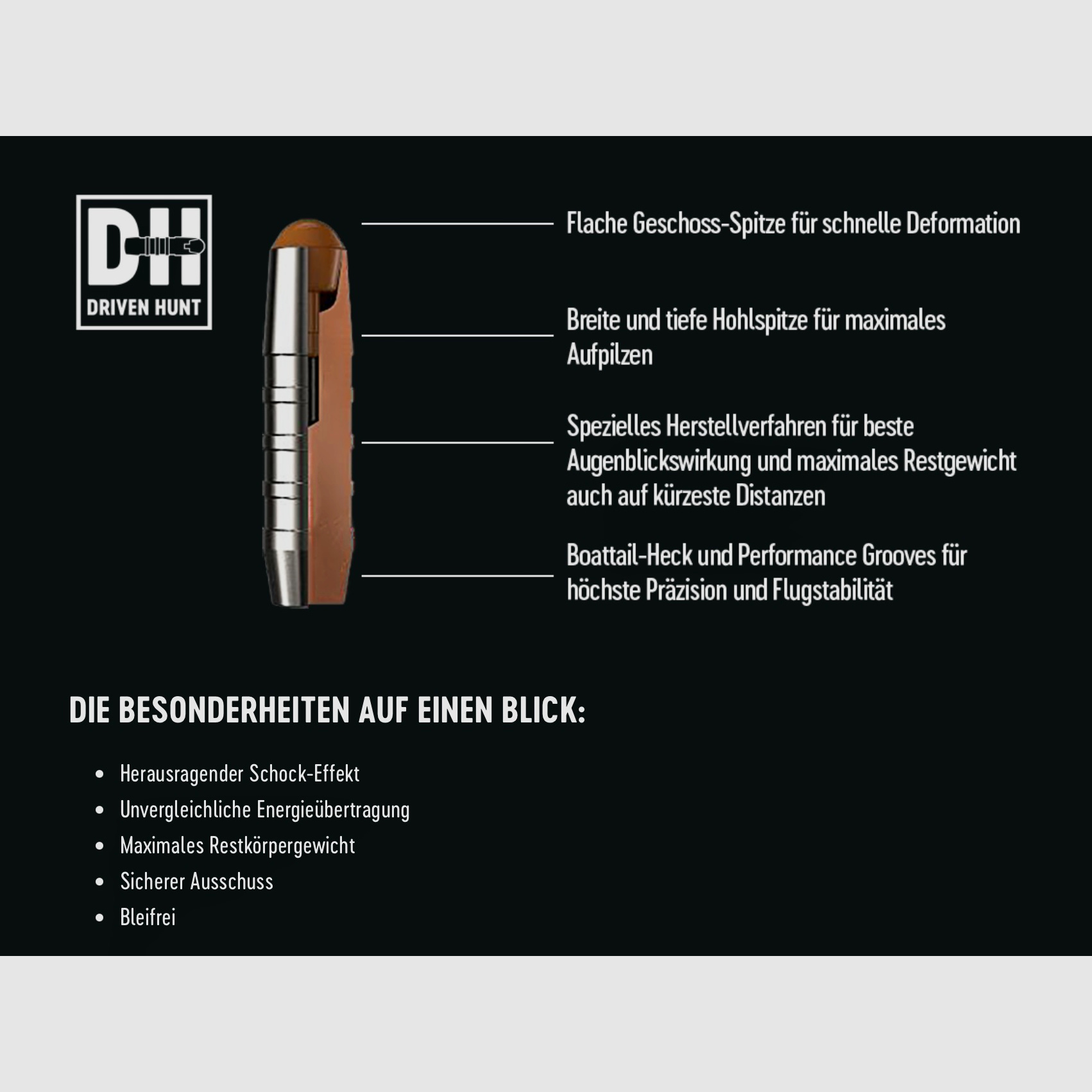 RWS 2428947 8x57 IS DrivenHunt 10,4g / 160gr Büchsenmunition Bleifrei