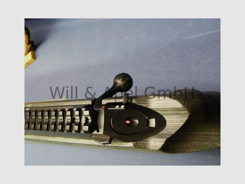 Sauer & Sohn Sauer 100