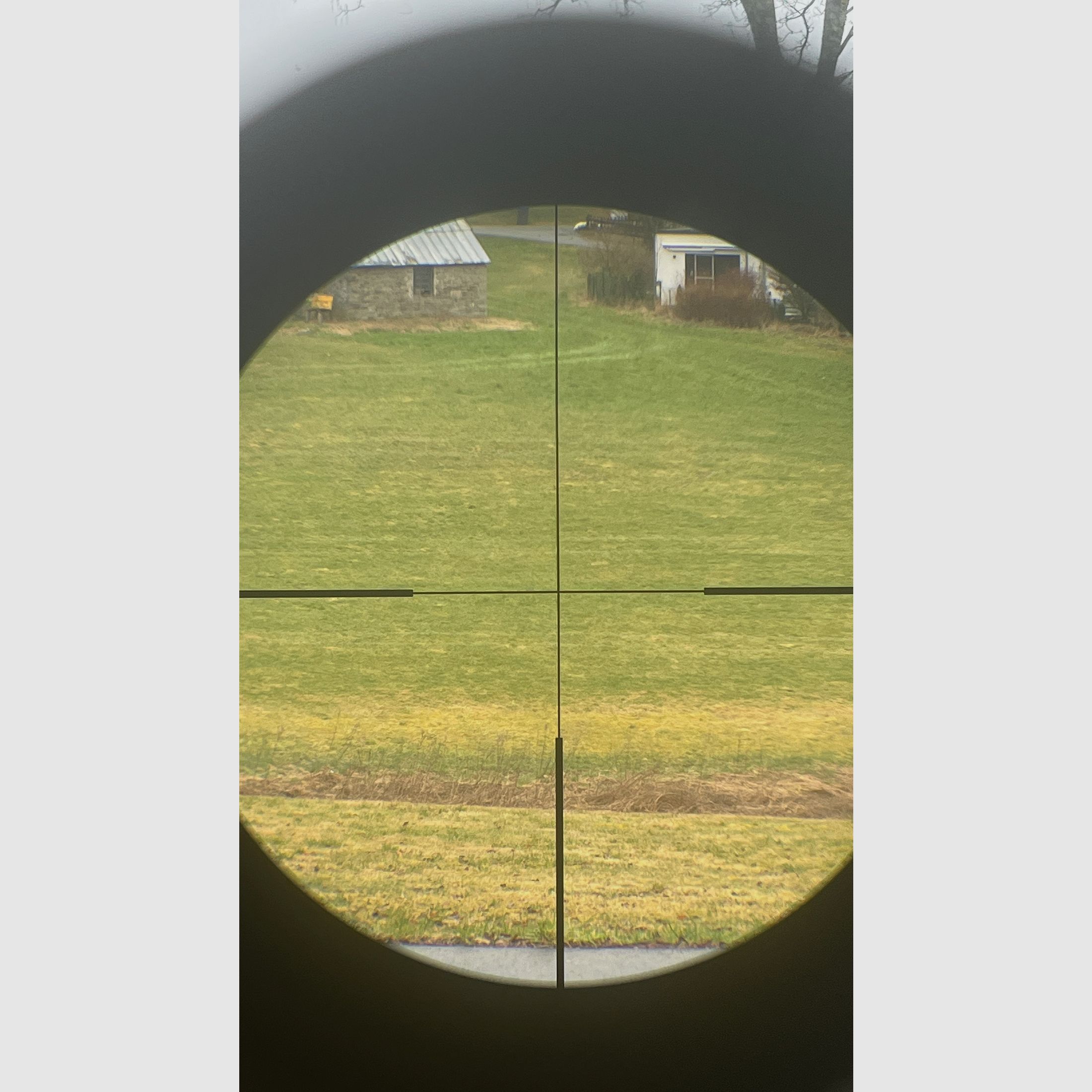 Steiner Ranger 8 2-16x50 riflescope with Zeiss rail