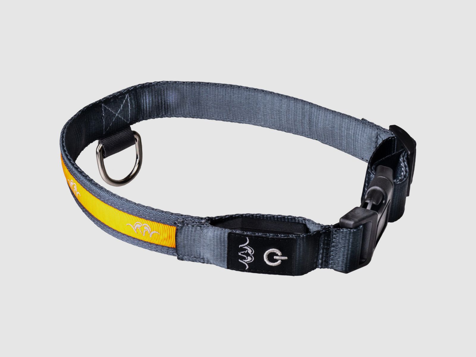 BLASER Halsband LED
