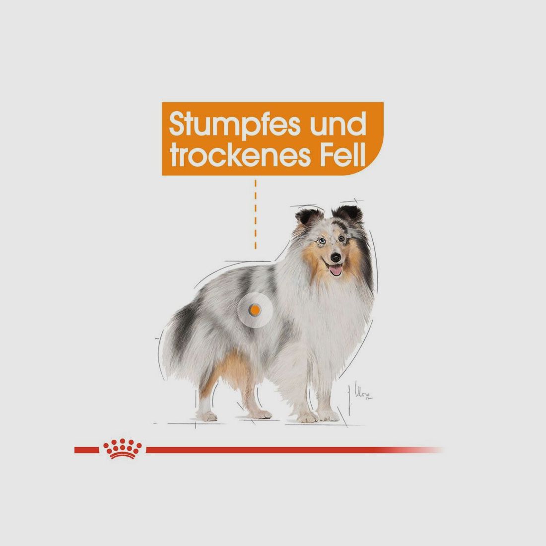 ROYAL CANIN Kleine Hunde Trockenfutter Coat Care für glänzendes Fell 3 Kg