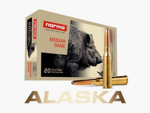 Norma Alaska .30-06 11.6g