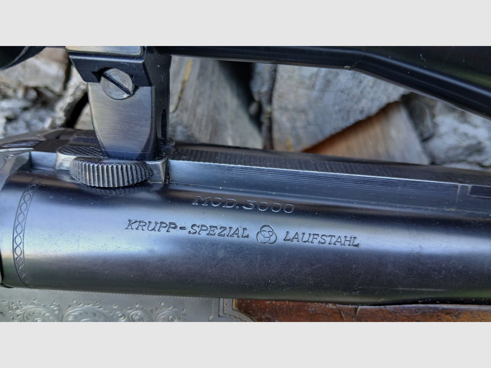 Sauer & Sohn Drilling 3000 mit Einstecklauf