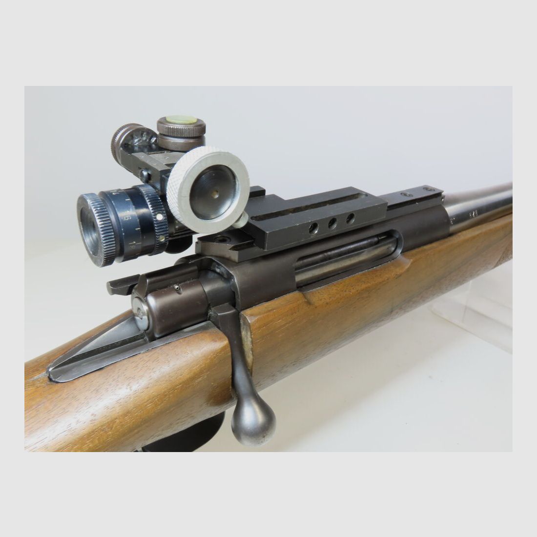 Musgrave Long Range con canna Palma!