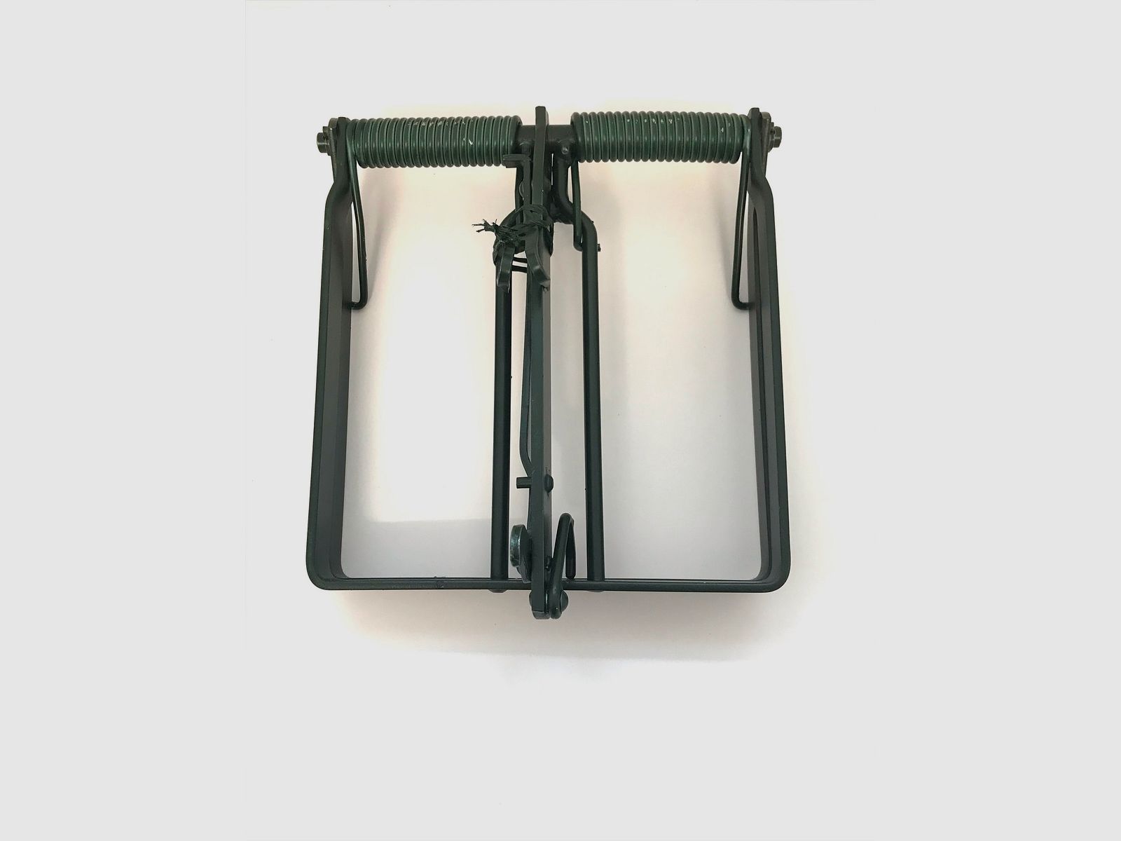 Baumfalle & Nutriafalle