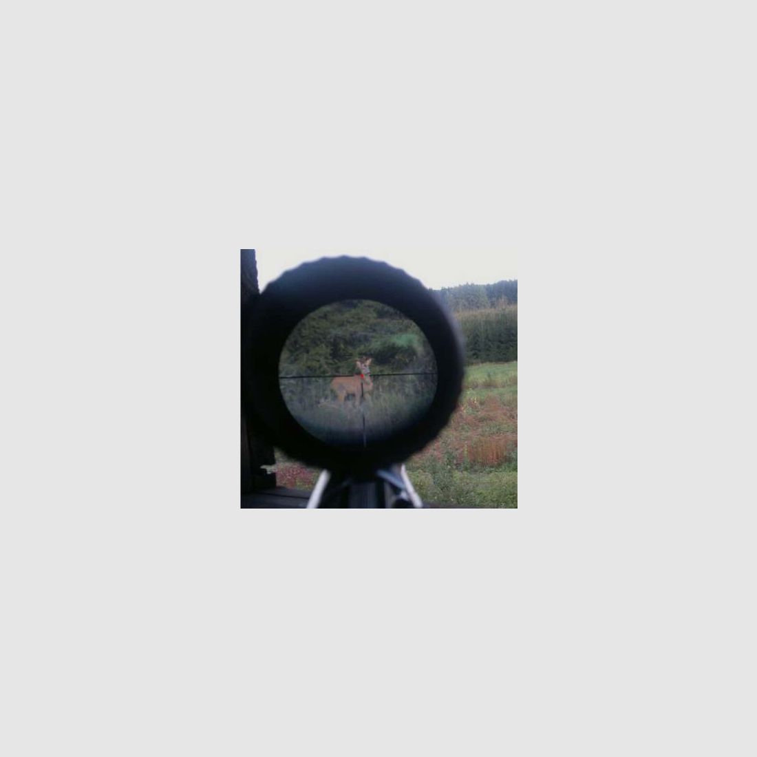 Olovin 3-12x56, Leuchtabsehen 4, Bild 2 von 5