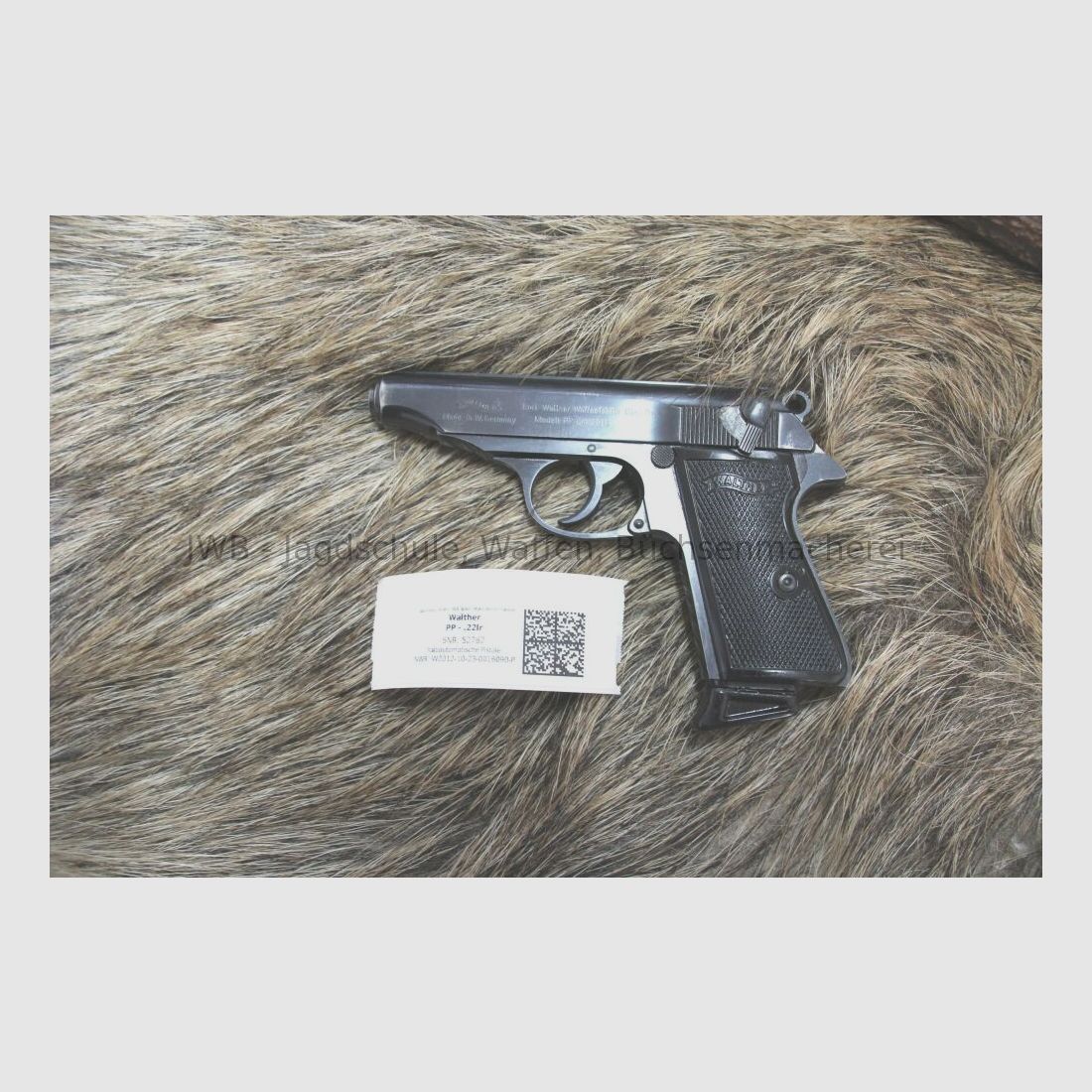 Walther PP .22lr