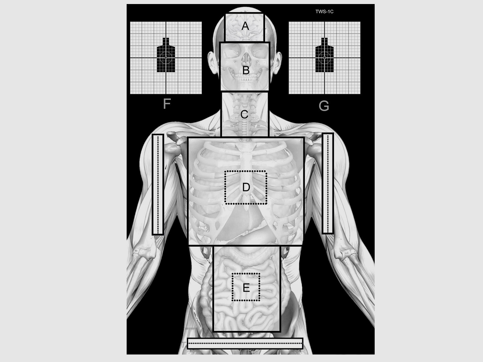 Silhouette Schießscheibe TWS 1C, 10stk.