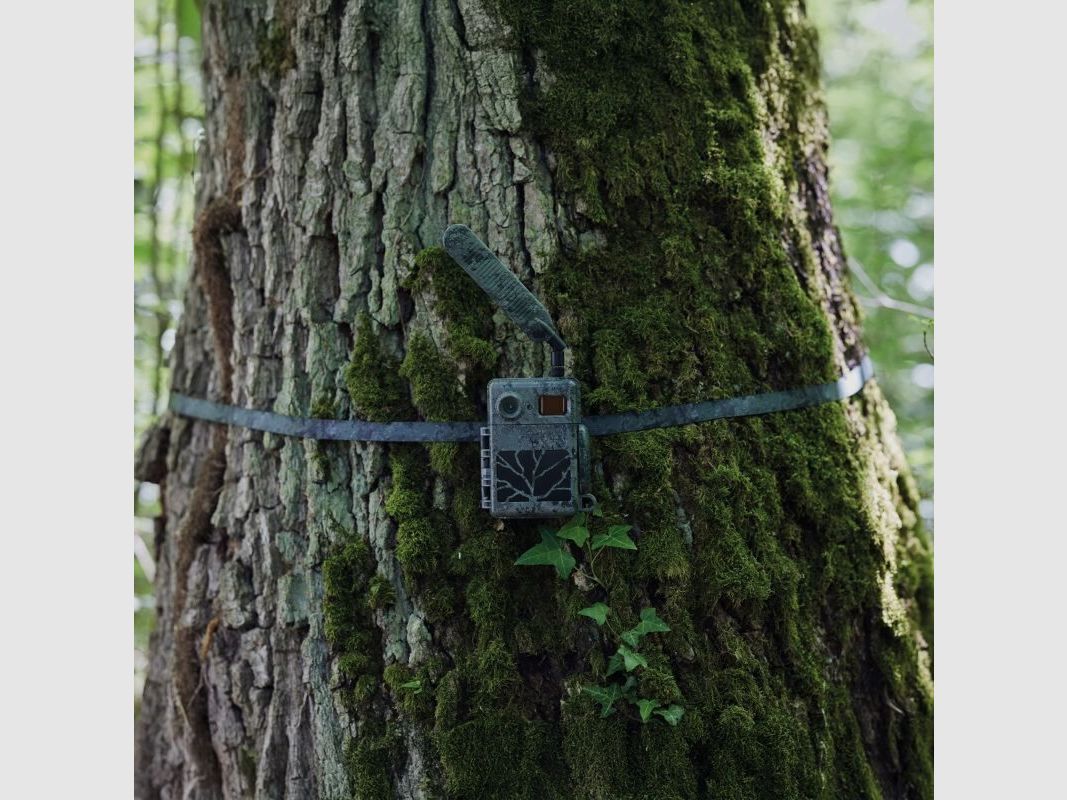 Zeiss Baumgurt Secacam 2er Pack
