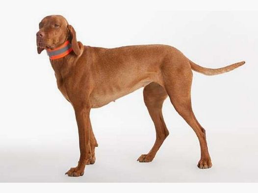 Collar señal flexible