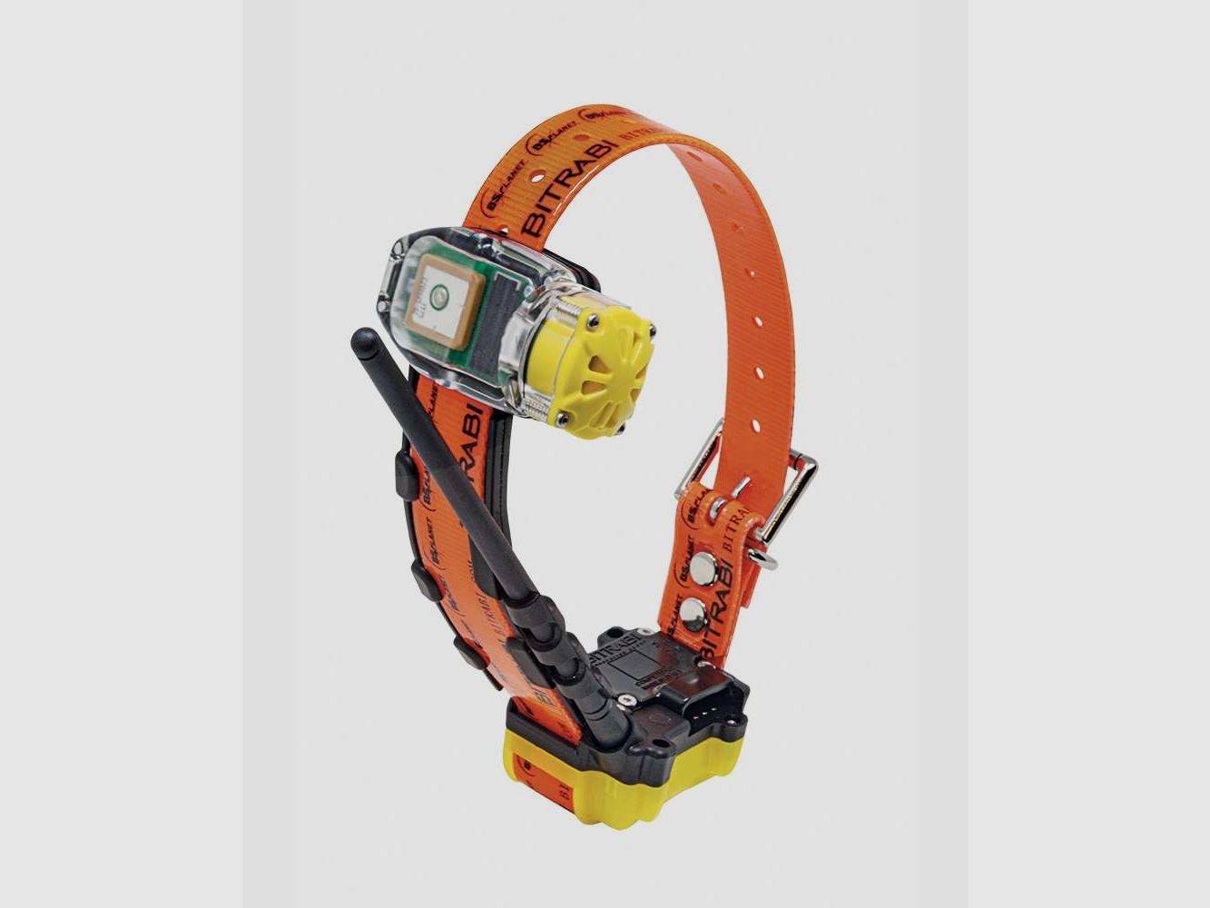 BTB 5000 Set di Tracciamento per Cani, immagine 3 di 38